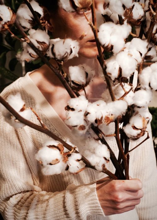 10 REASONS TO LOVE ORGANIC COTTON