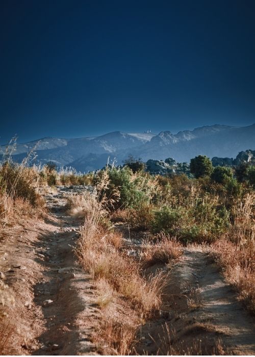 COLLECTION SS26 BIENTÔT DISPONIBLE !